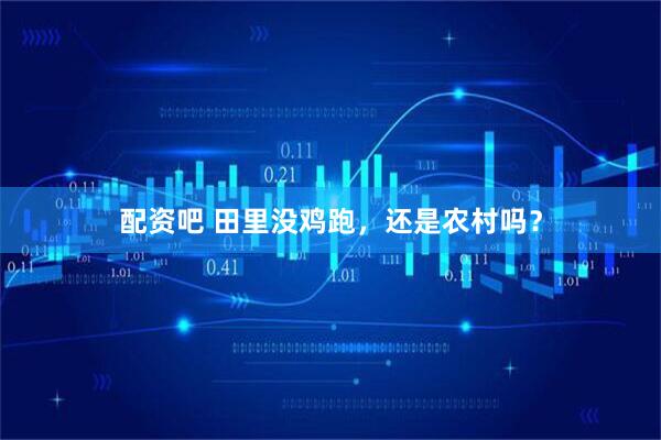 配资吧 田里没鸡跑，还是农村吗？
