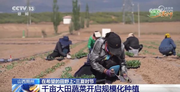 优秀炒股配资门户 农技护航、智慧种田！“三夏”时节各地都在抢农时