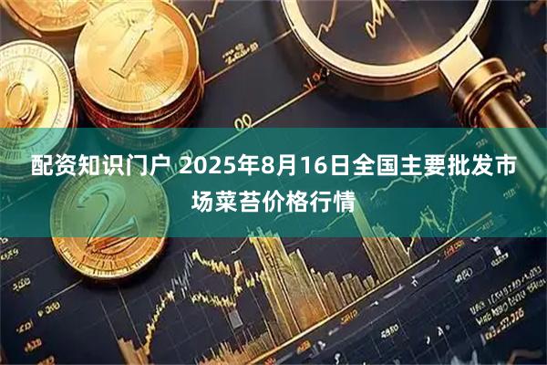 配资知识门户 2025年8月16日全国主要批发市场菜苔价格行情